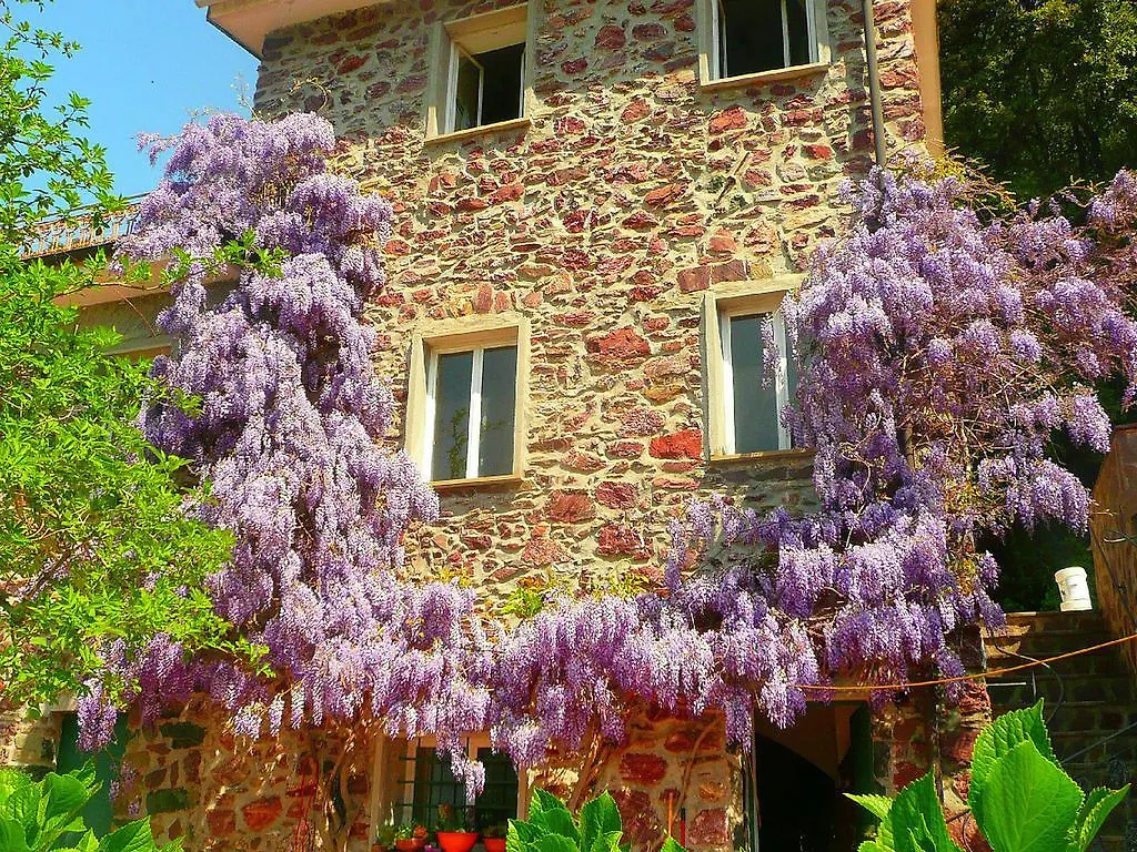 Holiday home Belvilla By Oyo Gromoletta Casta